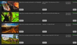 4k测试视频下载,画质体验与下载技巧全揭秘